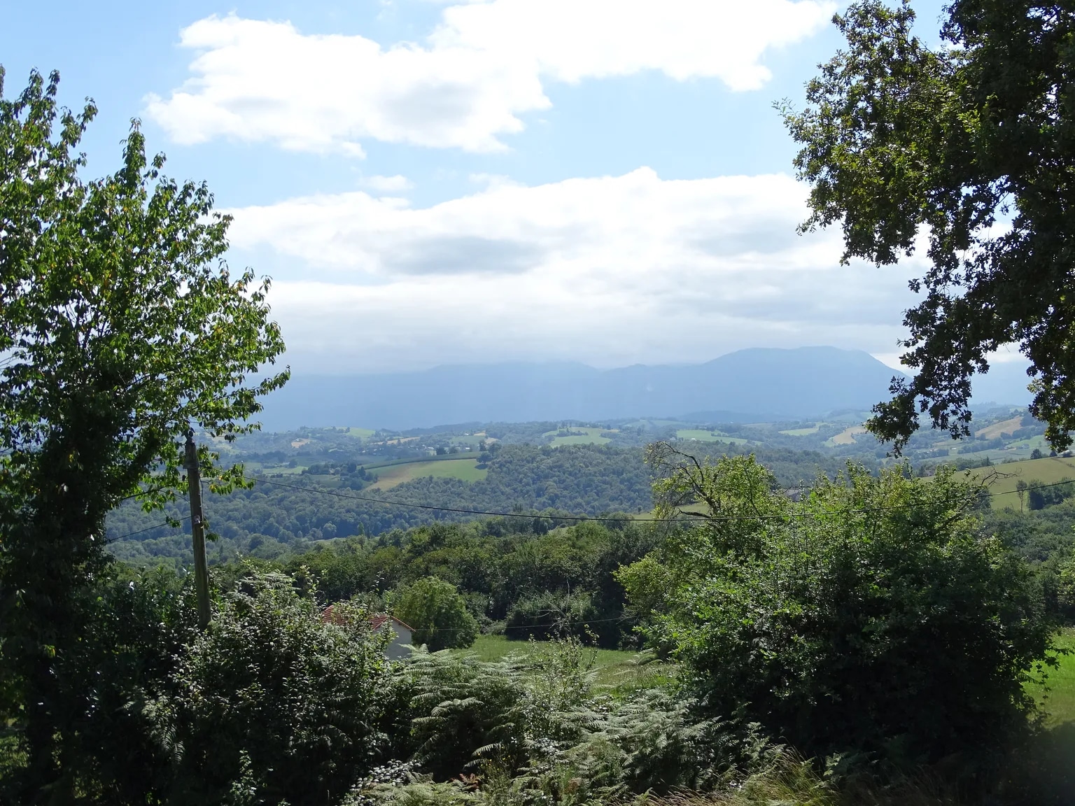 Photographie du pays de Nay depuis Piétat : arbres, plaine et reliefs à l’horizon.